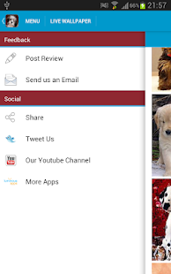 Cute Puppies Wallpapers Screenshots 3