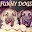 Funny Dogs on Video Download on Windows