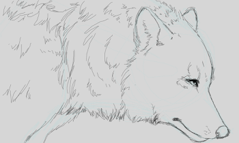 fluffluffluff