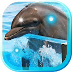 Cover Image of डाउनलोड Dolphines Best live wallpaper 1.1 APK