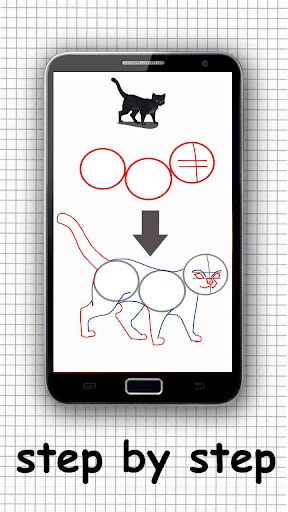 Cat Drawing Lessons