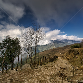Way to Sandakphu by Kunal Karmakar - Landscapes Mountains & Hills