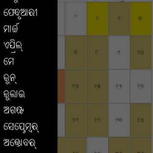 Odia Panjika Android app free download