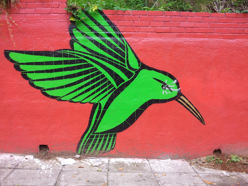 Graffiti Colibri Verde