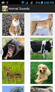 How to mod Animal Sounds Game 2015 1.0 apk for pc