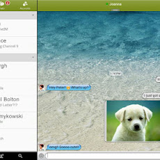 BeejiveIM for Live Messenger
