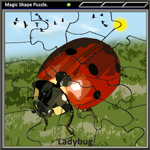 Magic Shape Puzzle 1.apk 1.13
