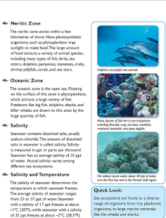 Sea world Screenshots 2
