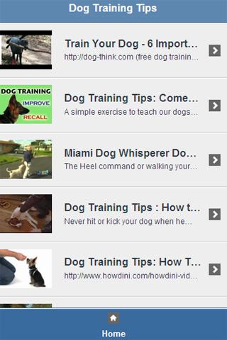 Dog Training Tips Video