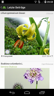 Pflanzenbestimmung AndroidApps auf Google Play