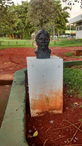 Busto Chico Mendes