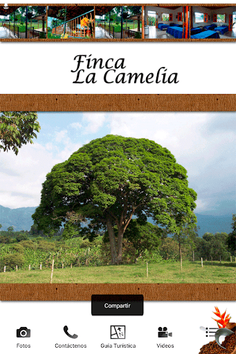 Finca La Camelia