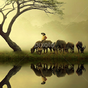 The King Of Shepherd by Ipoenk Graphic - Digital Art People