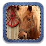 Norco California Local Guide Application icon