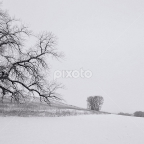 by Johnny Gomez - Black & White Landscapes
