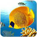 Fish Wallpaper icon