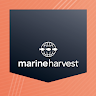 Marine Harvest HSEQ Application icon