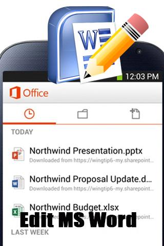 Edit MS Word
