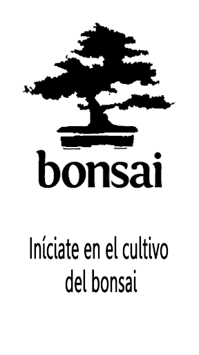 BONSAI Cuidados basicos