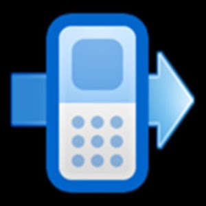 Remote divert calls by sms