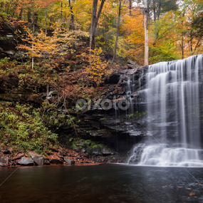 Harrison Wright Falls by Michael Sharp - Landscapes Waterscapes