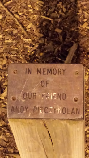 In Memory of Andy Pieczykolan