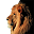اصوات الحيوانات Download on Windows