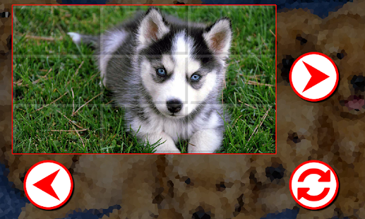 How to mod Puppies Puzzles lastet apk for bluestacks