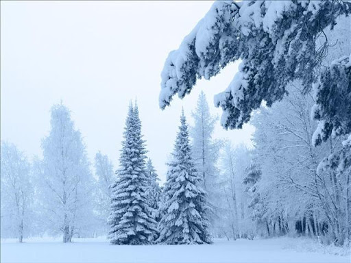 Snow Fall Live Wallpaper