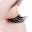 The Lashes Clinic Download on Windows
