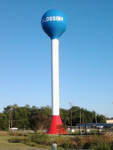 Blossom Water Tower