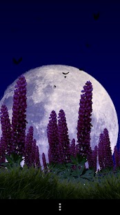 Wild Lupins Free Screenshots 3