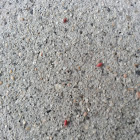 Concrete mites