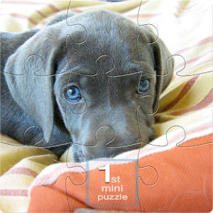 Dogs: Mini Puzzle Game Room.apk 1.0
