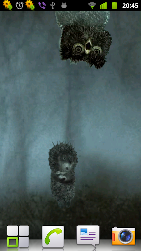 Hedgehog in the fog - LWP