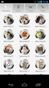 Cat Sounds Screenshots 3