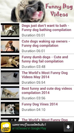 Funny Dog Videos