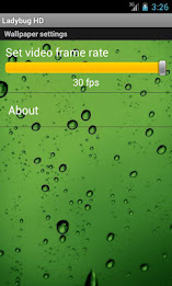 Ladybug Video Wallpaper HD poster 4