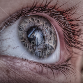 Sheep Are Not Human by Maurice FitzGerald - People Body Parts