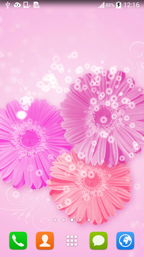 Pink Live Flower
