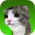 Lucy The Virtual Kitty Cat icon