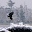 Lake Kabetogama Fishing Report Download on Windows