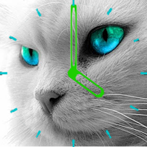 Cat Clock OrologioGatto Widget 1.0