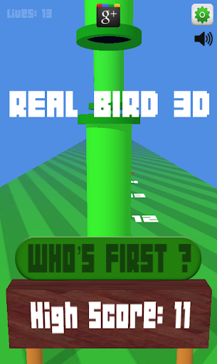 Real Bird POV 3D