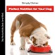 Dog Food Recipes