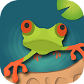 Froggy Puzzle Apk