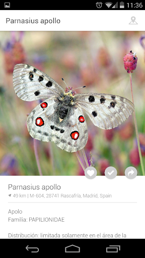 【免費教育App】Mariposas de Madrid-APP點子