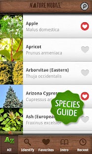 Download Trees PRO APK