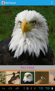 Bird Sound Screenshots 2