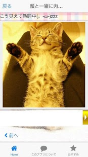 Free Cat paws　Photo collection APK for PC